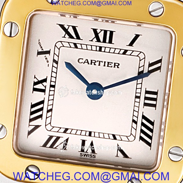 Cartier W20012C4 Santos Quartz Female Stainless Steel 2