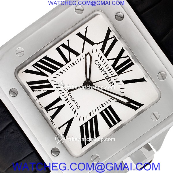 Cartier W20073X8 Santos 100 Automatic Male Stainless Steel 2