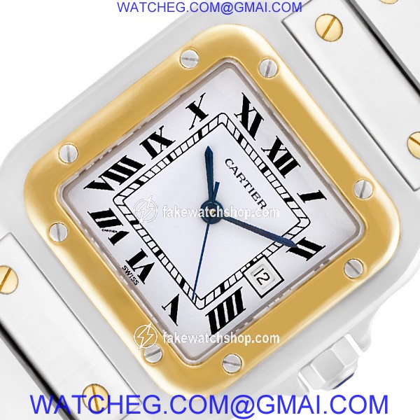 Cartier W20058C4 Santos Automatic Male Stainless Steel 2