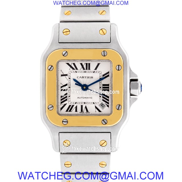 Cartier Cartier 2030 Santos Automatic Female Stainless Steel 2