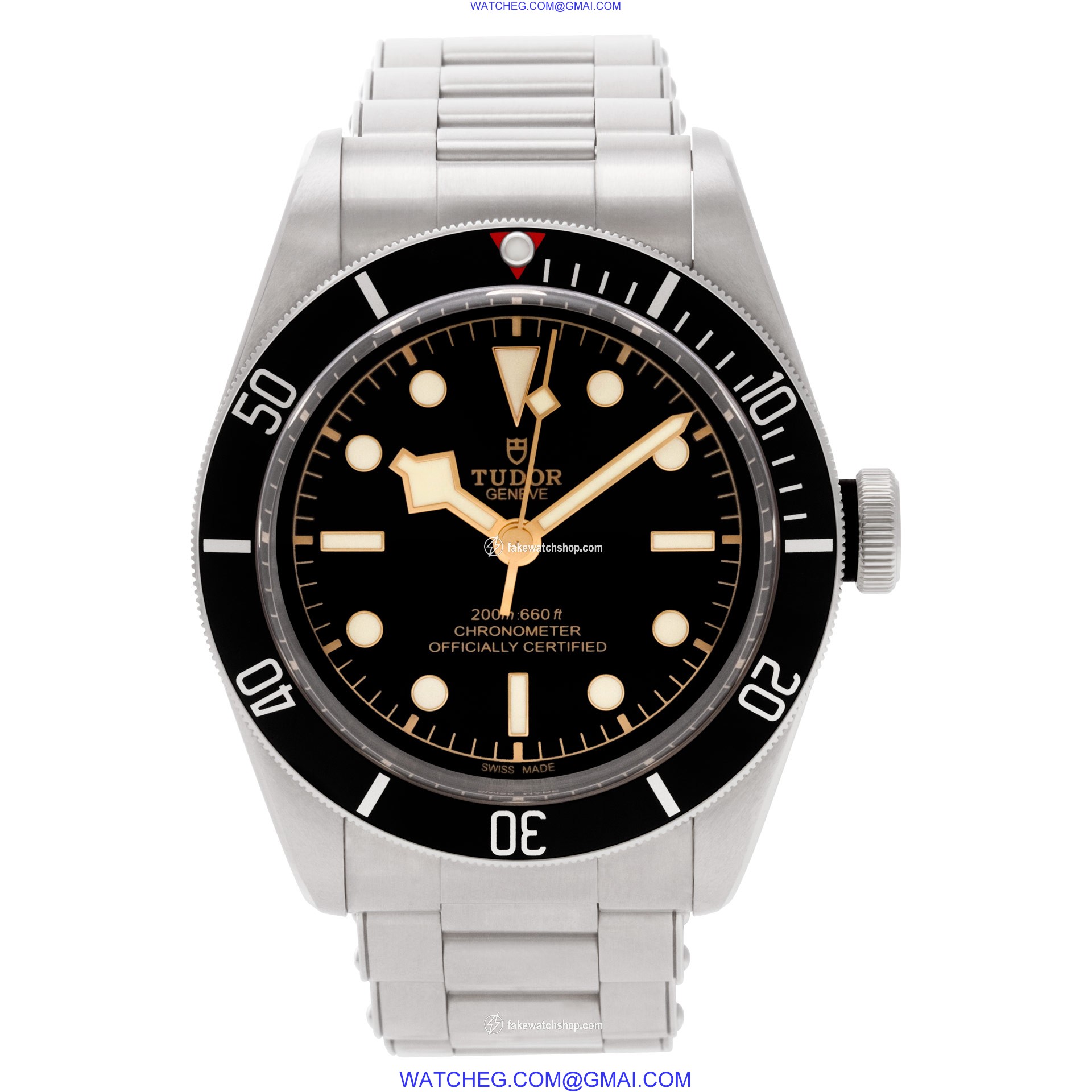 Tudor 79230N Heritage Automatic Male Stainless Steel 2