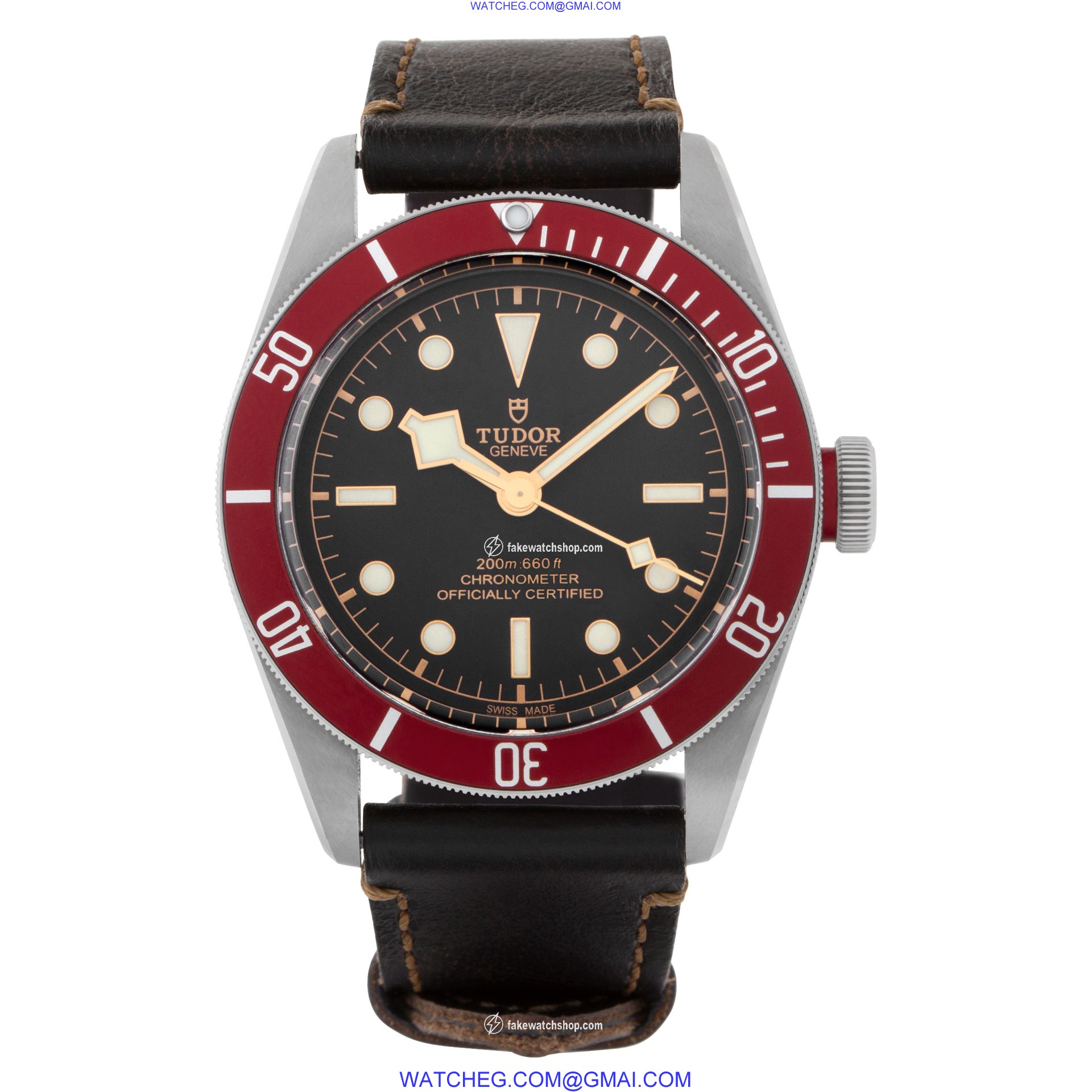 Tudor 79230r black bay Automatic Male Stainless Steel 2