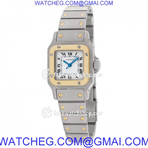 Cartier w20054d6 Santos Automatic Female Stainless Steel 3