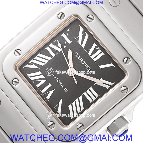 Cartier W20060D6 Santos Automatic Male Stainless Steel 3
