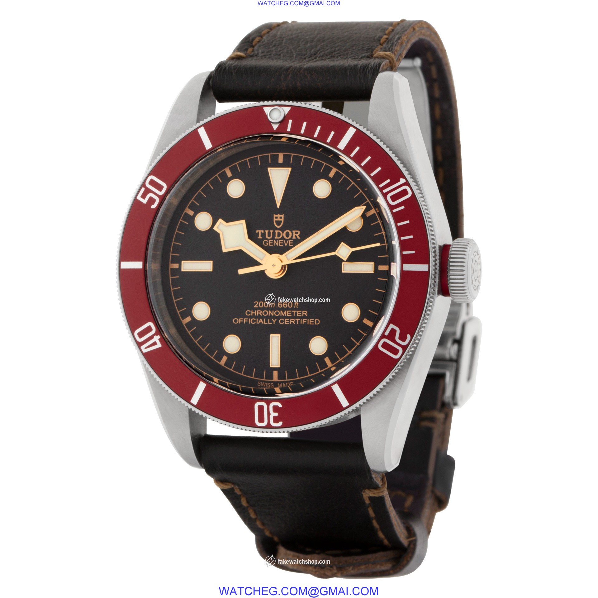 Tudor 79230r black bay Automatic Male Stainless Steel 3