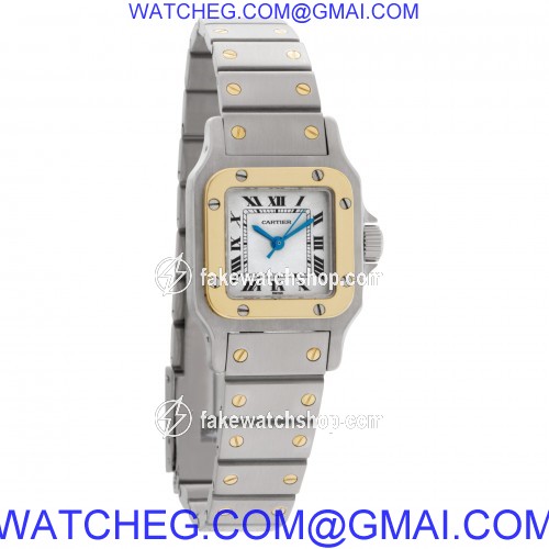 Cartier w20054d6 Santos Automatic Female Stainless Steel 4