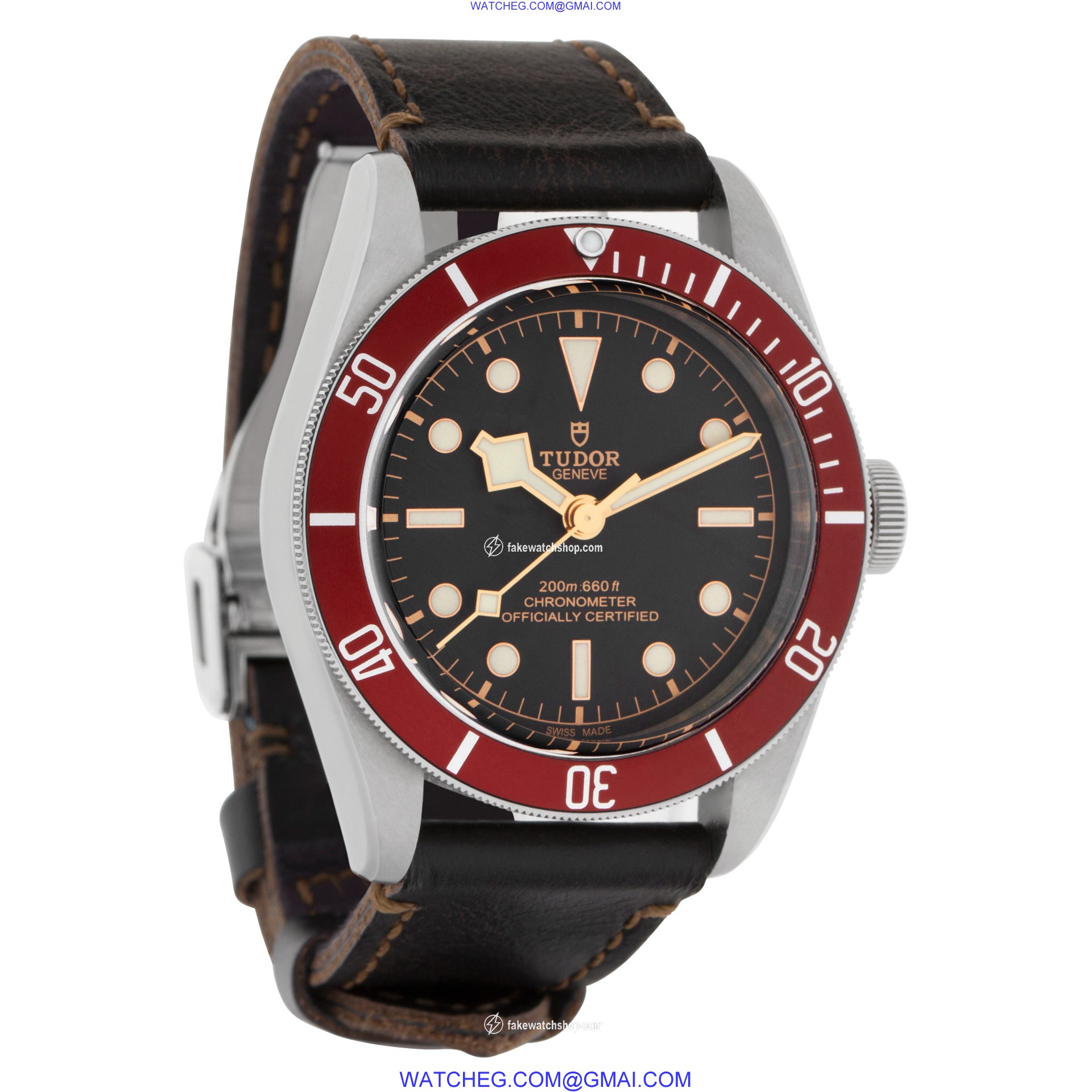 Tudor 79230r black bay Automatic Male Stainless Steel 4